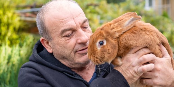 Ein neues Zuhause für Hasen und Ziegen