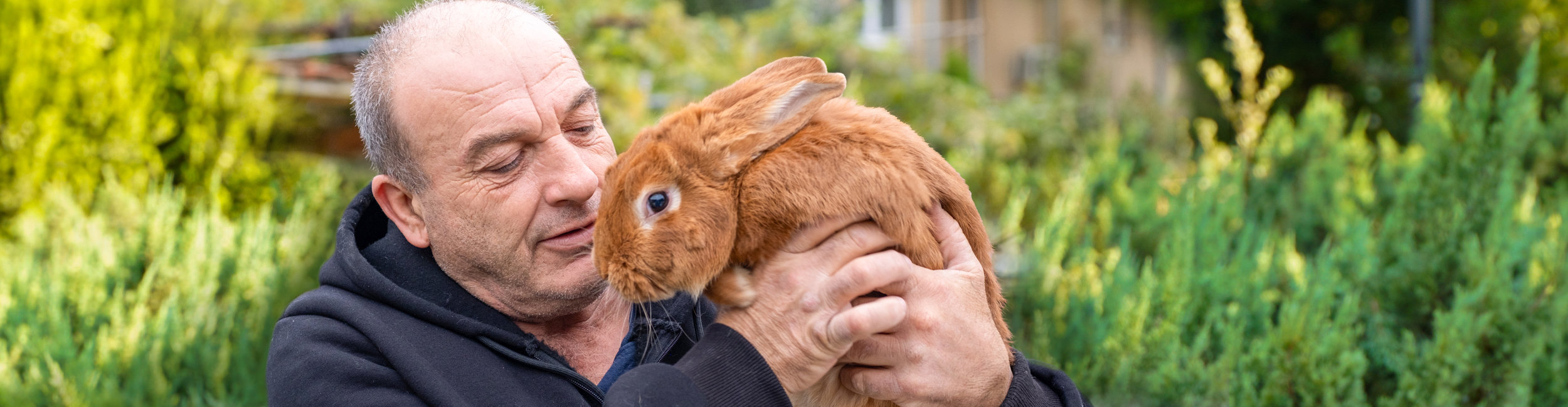 Ein neues Zuhause für Hasen und Ziegen