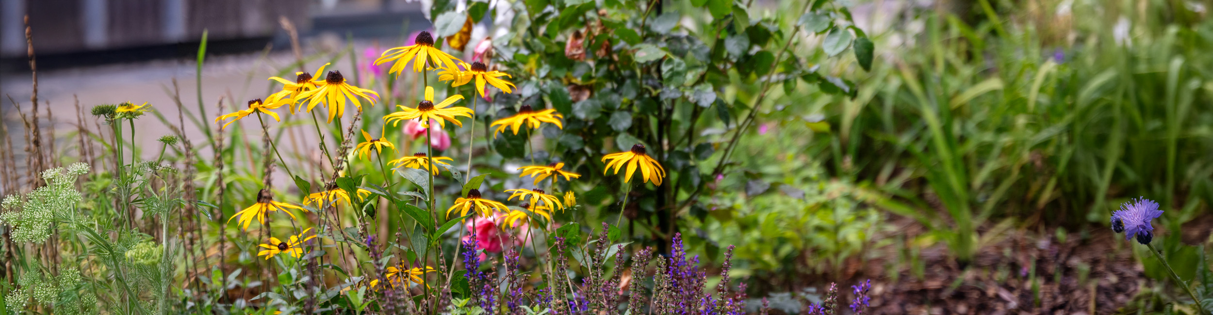 Diakonie-Sozialstation Biberach