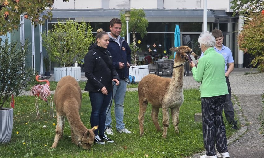 Newsbild