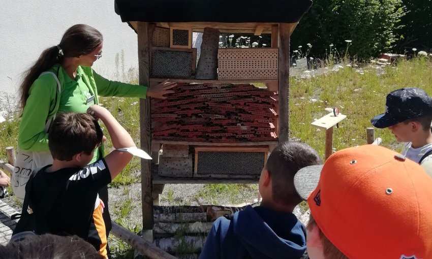 Projekttage in Zieglerschen - Arnach Die